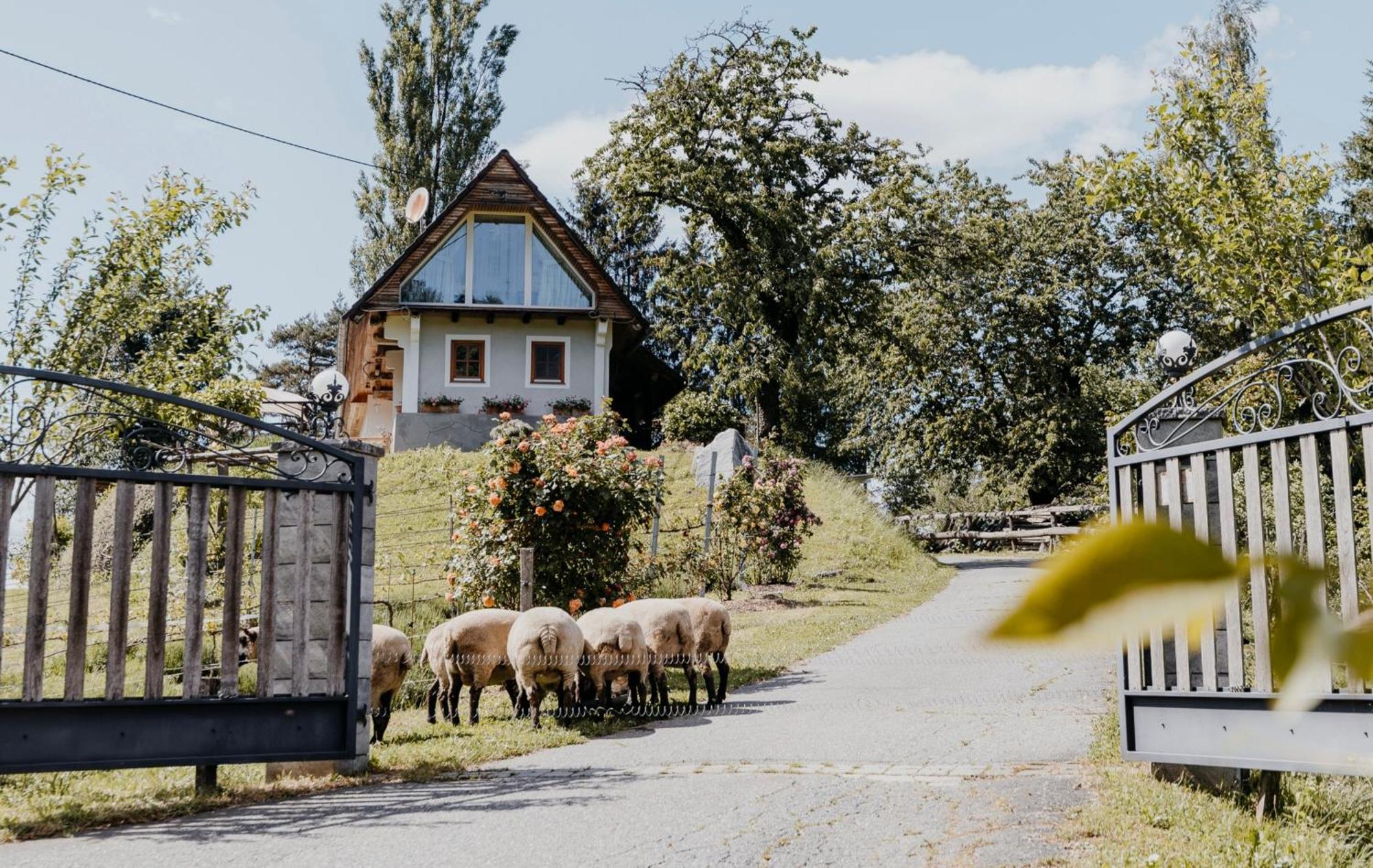 Ferienhaus Am Herbsthof Leutschach Dış mekan fotoğraf