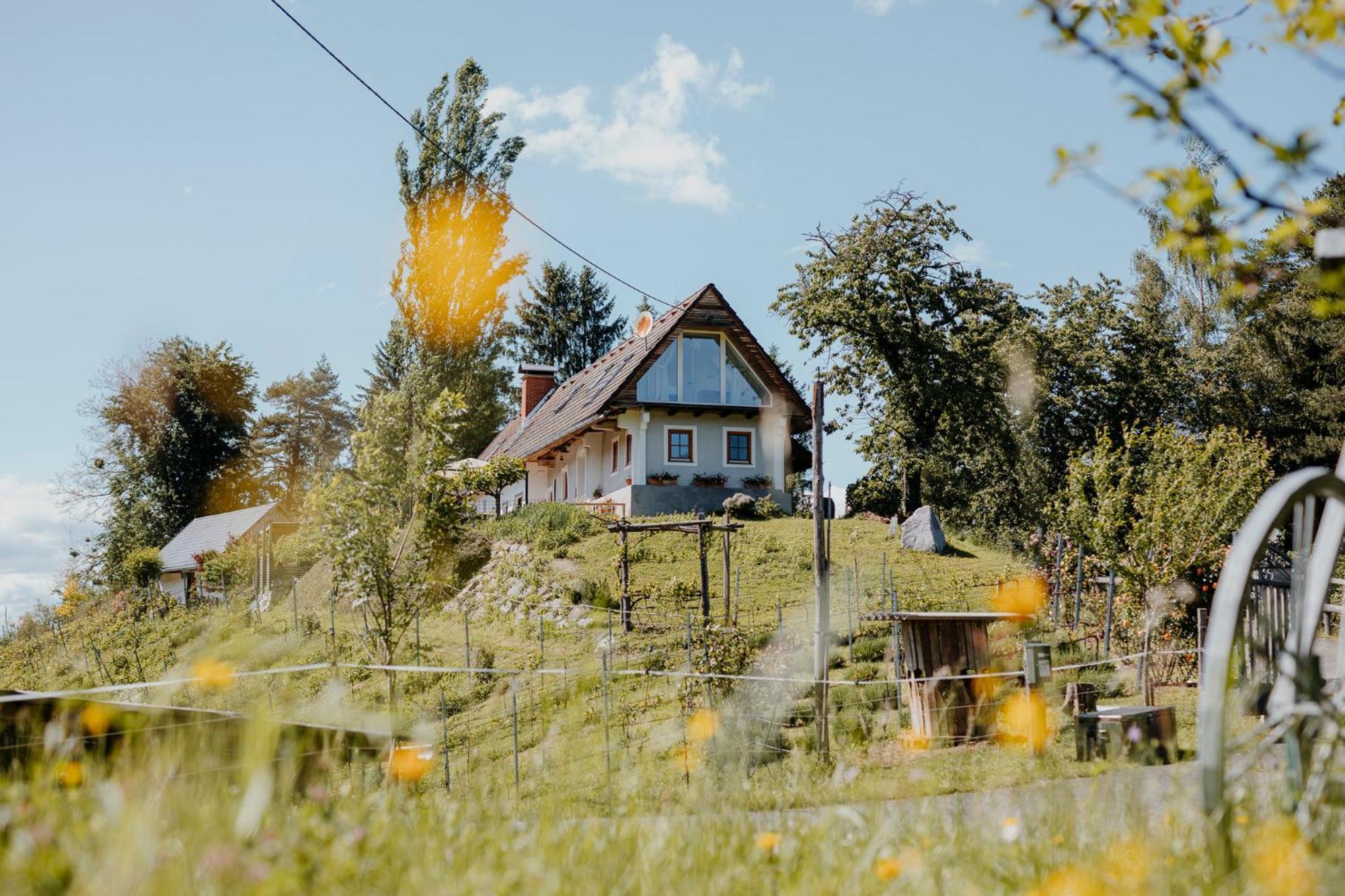 Ferienhaus Am Herbsthof Leutschach Dış mekan fotoğraf