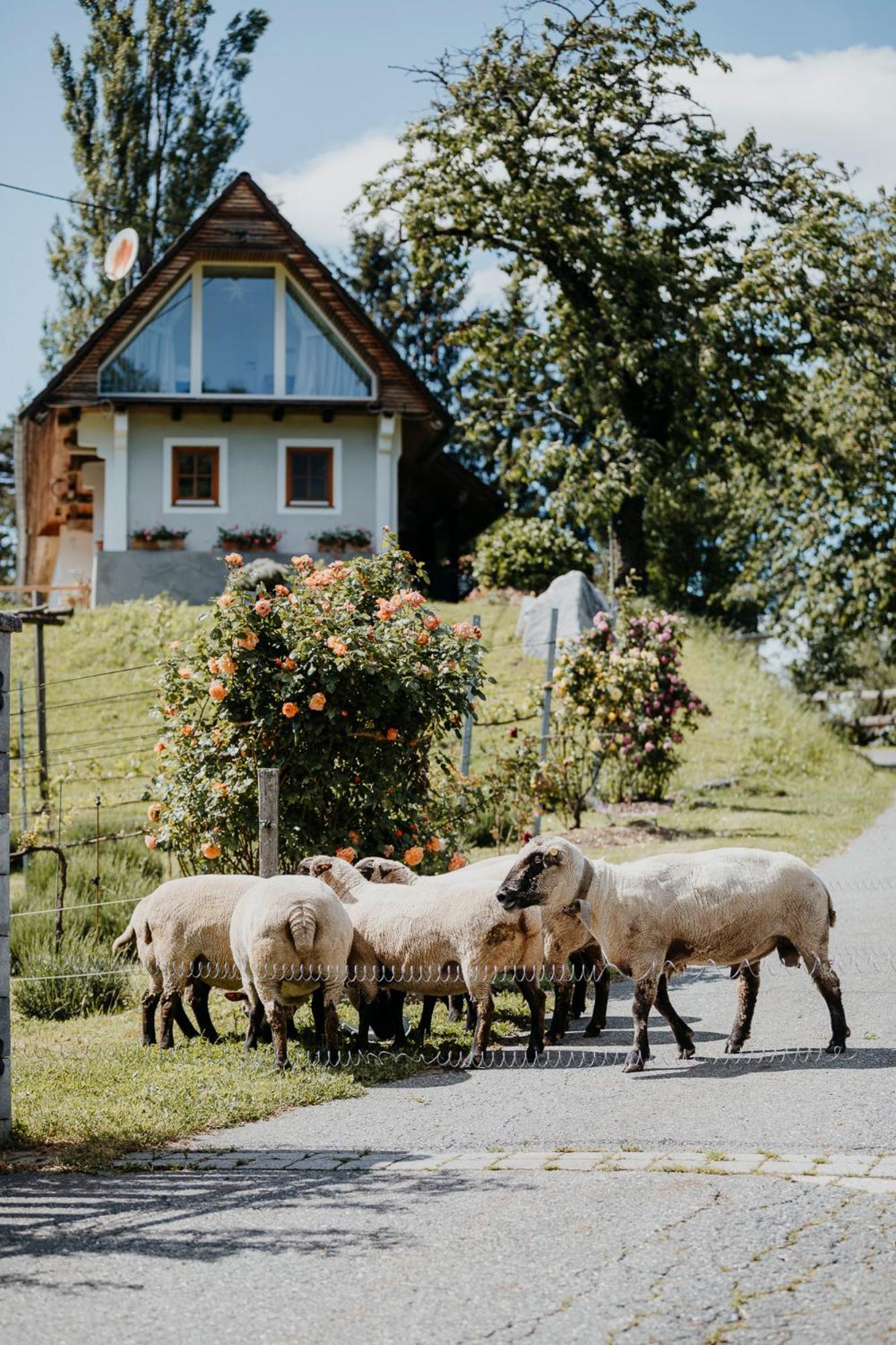 Ferienhaus Am Herbsthof Leutschach Dış mekan fotoğraf