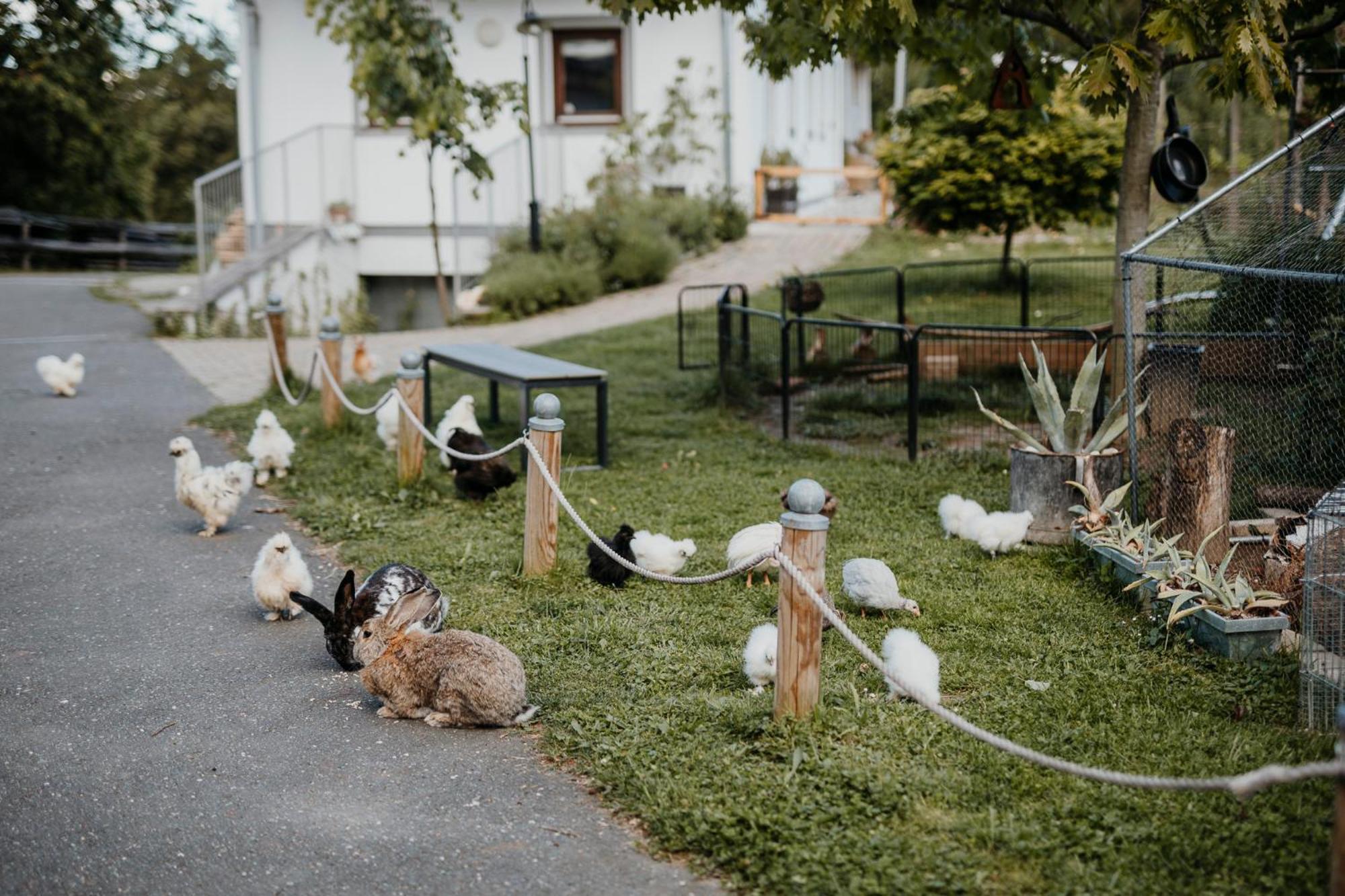 Ferienhaus Am Herbsthof Leutschach Dış mekan fotoğraf