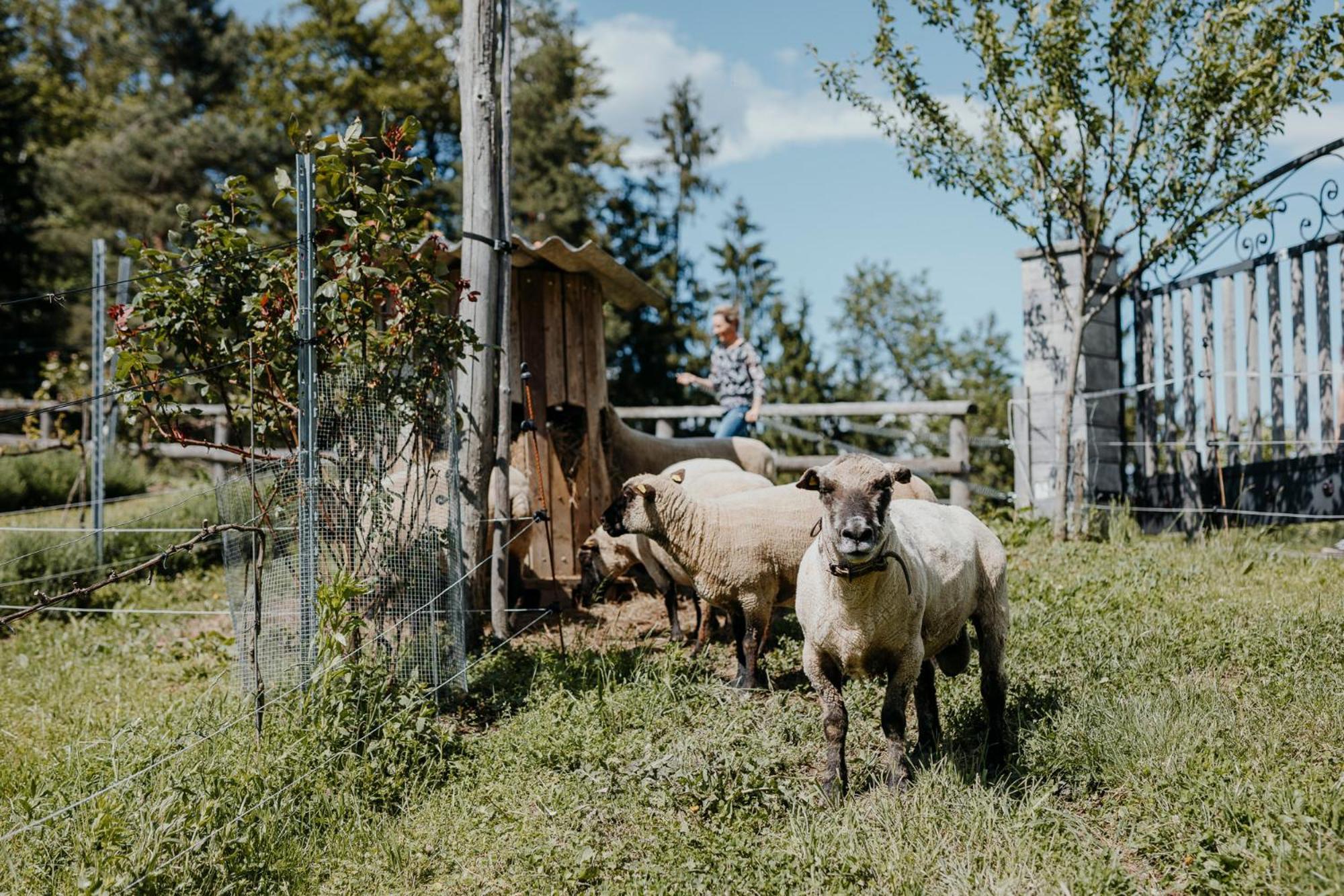 Ferienhaus Am Herbsthof Leutschach Dış mekan fotoğraf
