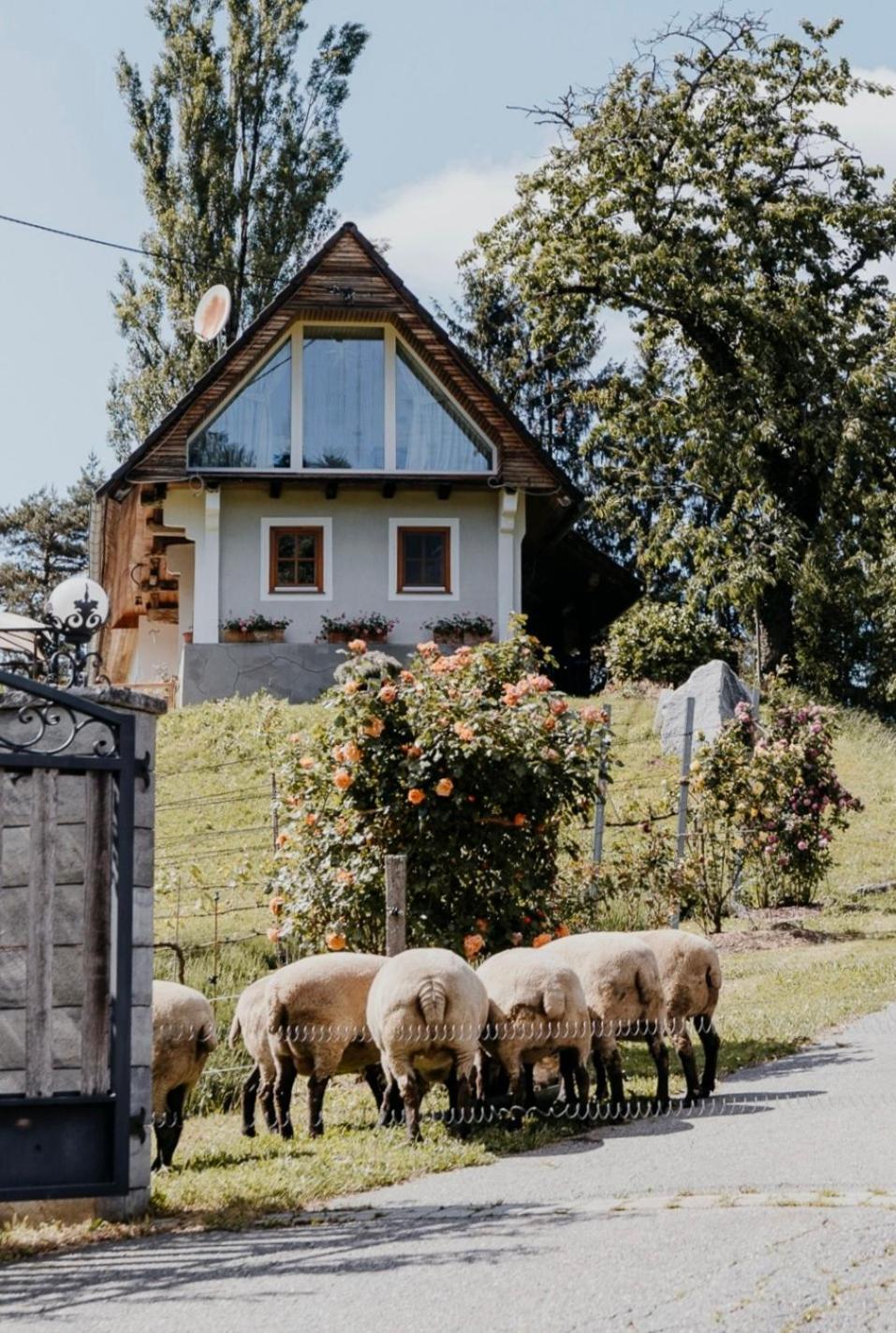 Ferienhaus Am Herbsthof Leutschach Dış mekan fotoğraf